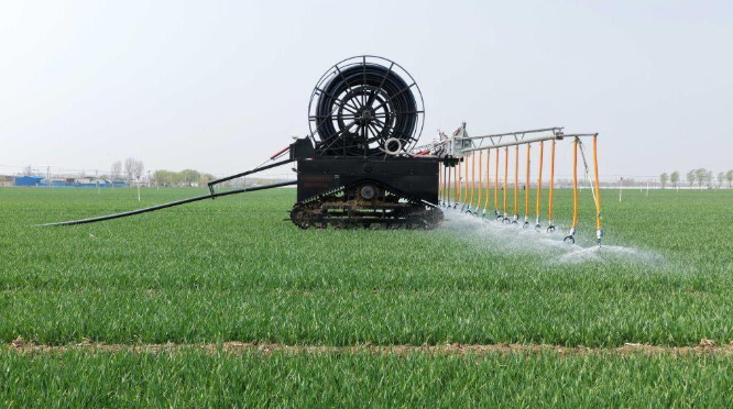 春风拂沃野 小麦春管忙