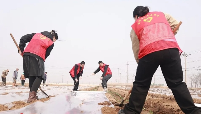 乐亭:奏响“三部曲” 绘就“春耕图”