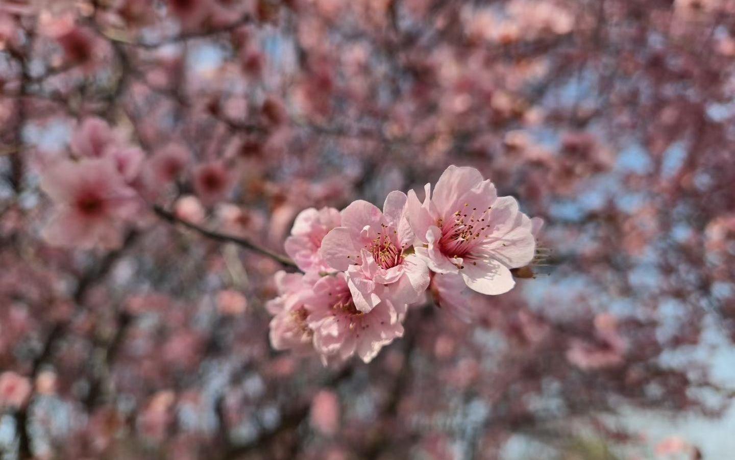 8日夜间,唐山有雨!