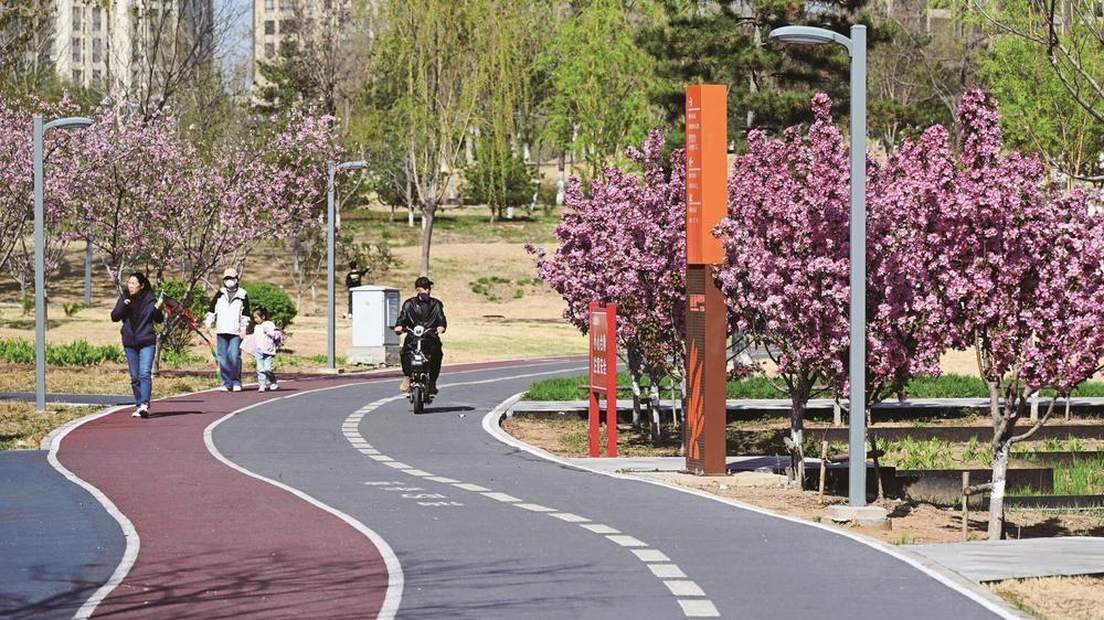 把绿色“种”进生活